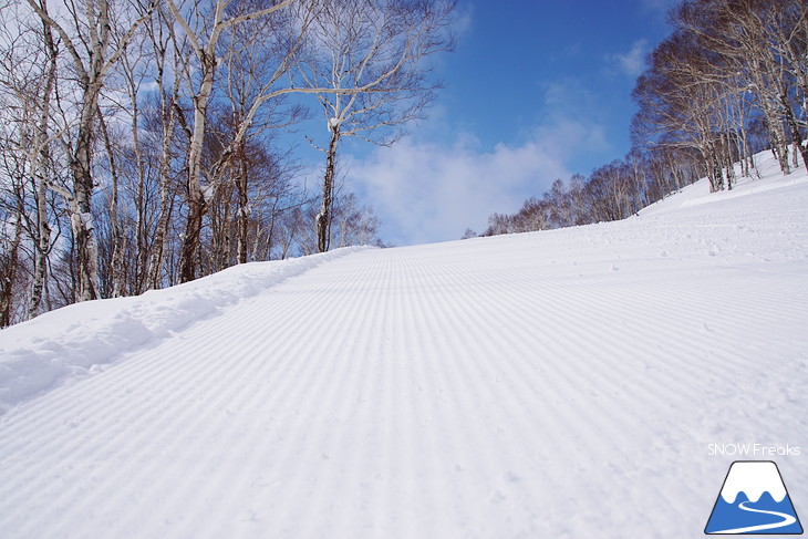 ルスツリゾート いよいよ来週、『SAJ公認 第54回全日本スキー技術選手権大会』開催！